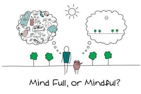 Mindfulness 5 weken